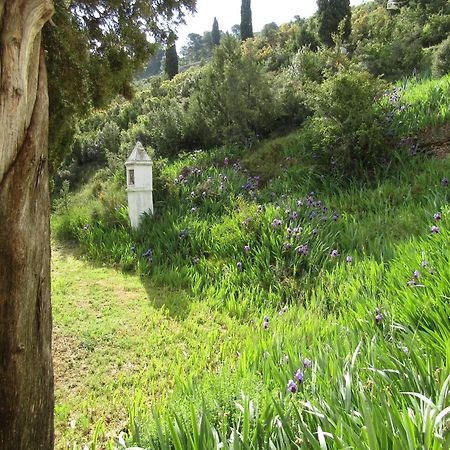 فيلا Casa Burgues بيسييت المظهر الخارجي الصورة